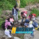 화개초교 이미지