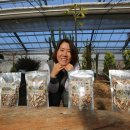 도은농장 이미지