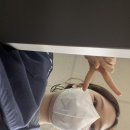 술먹는놈안주먹는놈돈내는놈 | 2월 되니까 몸무게가 두배