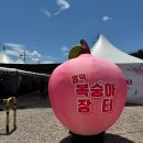 복숭아독채펜션 네이버블로그