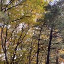 가야금 첫 걸음 이미지