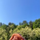 바이윤스