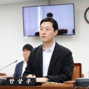 안상우 카카오 검색결과