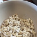 바다랑포도펜션 | 대부도 칼국수 맛집｜포도밭할머니칼국수 대부도본점 웨이팅, 메뉴, 주차, 이용팁 총정리