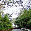 남악사지 이미지