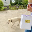 알루하우스A 이미지