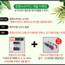 슬기체육