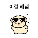 퍼피스프링 이미지