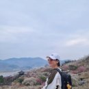 섬진강매화로 | 광양매화마을맛집 섬진강고향집