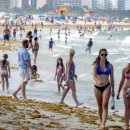 미래안경 이미지