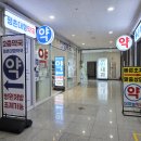 금강약국 | 안양에 생긴 대형 약국, 메가팩토리급 가격에 넥스가드 스펙트라까지!