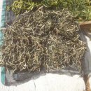 류진농장 이미지