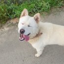 길만농장 이미지