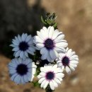 미륵산농장 이미지