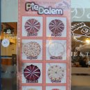 파이달램 이미지