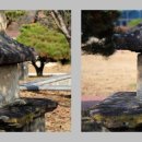 서부리 삼층석탑(西部里 三層石塔) 이미지