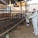 우종은농장 헤럴드경제