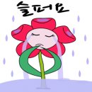 피아노포레 네이버블로그