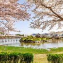 중앙호수공원 이미지