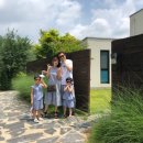 까미노데플로레스타2 이미지