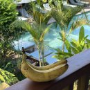 억수농장 | 발리 한 달 살기 3 - 우붓에서 일주일을(2)