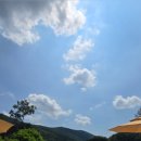 동강더하우스 이미지