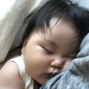 고롱고롱 이미지