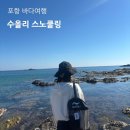 수올리 스노쿨링 장비 숏핀 바다 프리다이빙 마스크 내돈내산 오도리해수욕장 후기