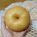 신화슈퍼