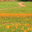 황화목장 이미지