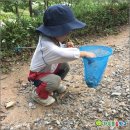 숲속에는 이미지