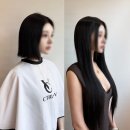 한국붙임머리증모술협회
