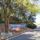 환호공원 내 물의공원 화장실 네이버블로그