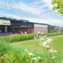 처음처럼 애견펜션 이미지