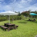 도심의 쉼터 이미지