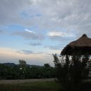 사랑의 날개 이미지