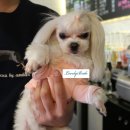 미스터토리 이미지