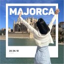 중심카TOWN | [스페인 신혼여행] 마요르카 렌트카 없이 여행가능? 팔마 시내 돌아다니기