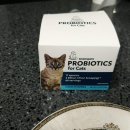 제이원피앤지 이미지