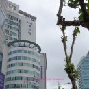 센트빌 이미지