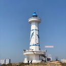 슬도주차장 | 울산 꽃놀이 명소 슬도 유채꽃 개화 상황, 주차장 후기