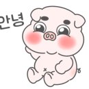 노운KNOWN