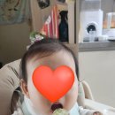 롯데마트 이팝나무 이미지