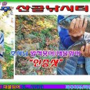 산골낚시터 이미지