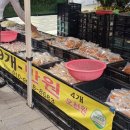 장날에 | 태안 동부시장 서부시장 장날 오일장 풍경