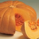 배성식품 이미지