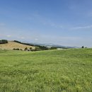 한우목장 이미지