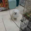 호텔루이 이미지