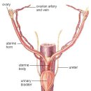 우리덕구동물병원 이미지