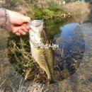 취병낚시터 이미지